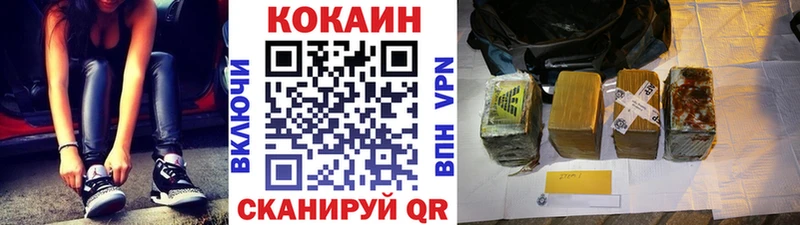 КОКАИН Fish Scale  Купить где  Кедровый 