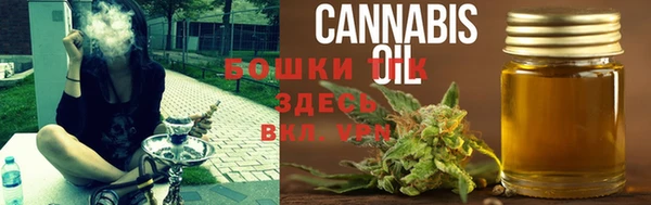 дмт Киреевск