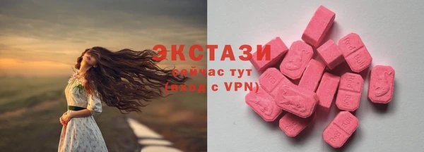 дмт Киреевск