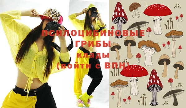 дмт Киреевск