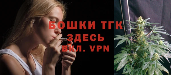 дмт Киреевск